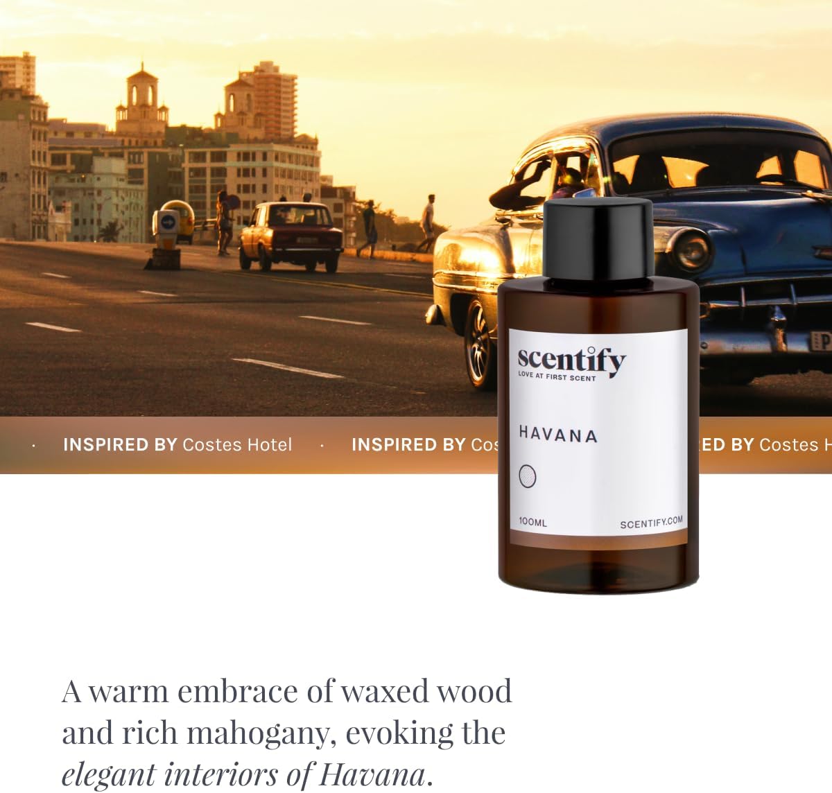 Scentify Havana Aroma Oil Refill Scent for Oil Diffusers - Oak Moss, Rum, Paprika, Mahogany Scents