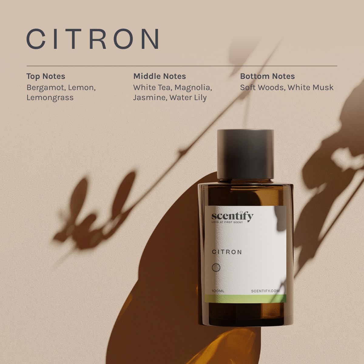 Scentify Citron Aroma Oil Refill Scent for Oil Diffusers - Lemon, Jasmine, Musk, Woods Scents
