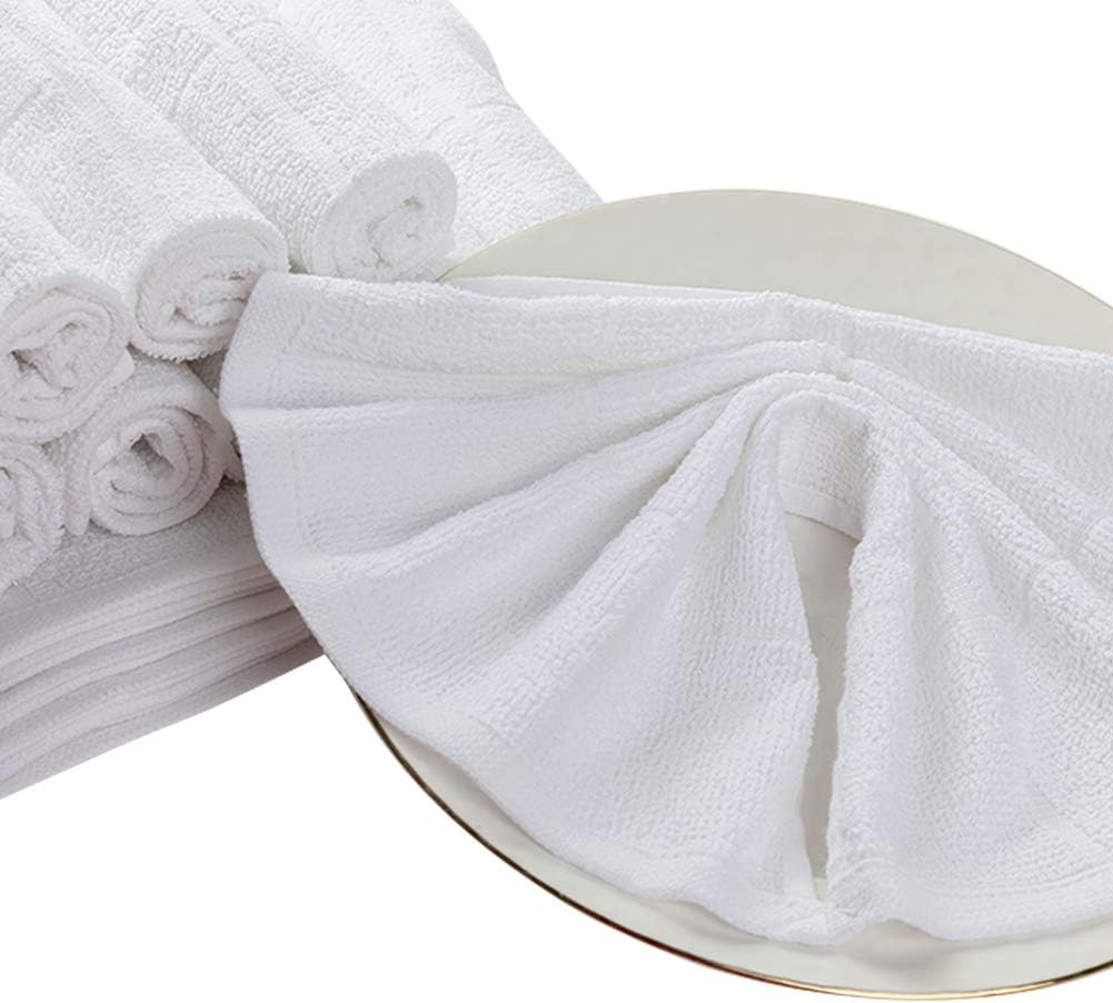 Glynniss Dishcloths Kitchen Highly Absorbent Dish Rags 100% Cotton Dish Cloths for Washing Dishes