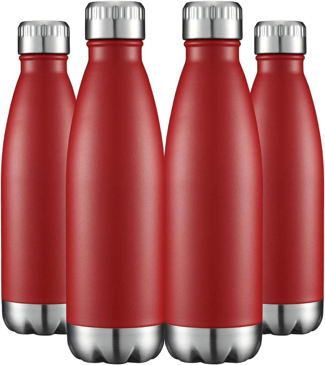 HASLE OUTFITTERS 17oz Stainless Steel Water Bottles Bulk, Vacuum Insulated Double Walled Powder