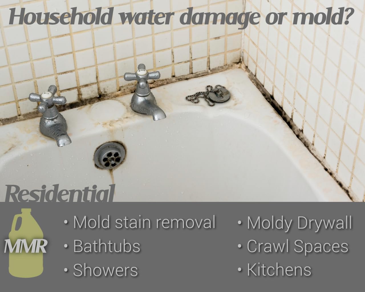 Bad Axe MMR Instant Mold Stain and Mildew Stain Remover - Professional Strength, Contractor Grade