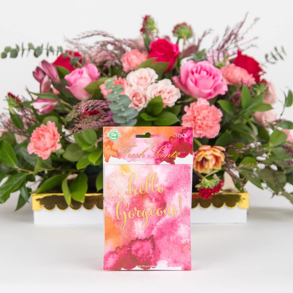 WillowBrook | Fresh Scents Scented Sachet Packet | Hello Gorgeous | Air Freshener Bags for Drawers