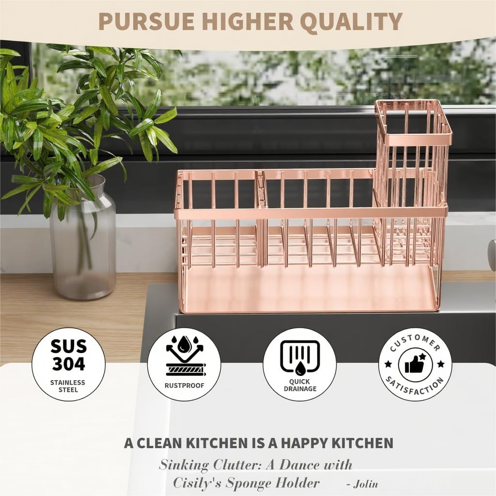 Cisily Sink Caddy Organzier with High Brush Holder, Sponge Holder for Sink, 304 Rustproof