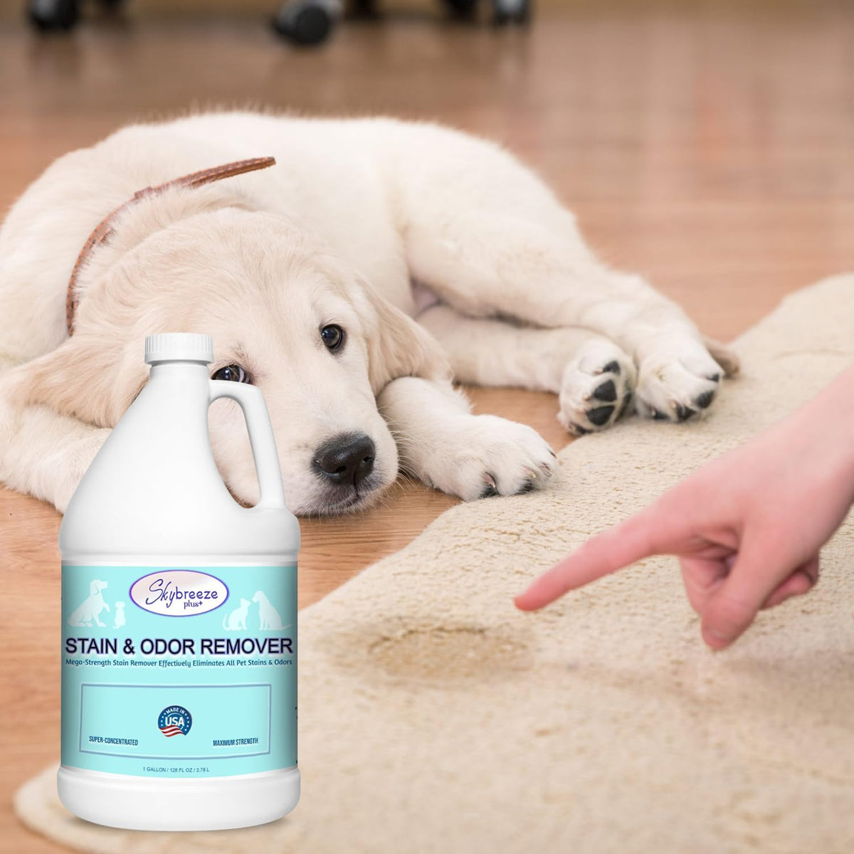 Pet Stain Odor eliminator - Super-concentrated Enzyme cleaner - Sky breeze plus - Extra Strong Odor