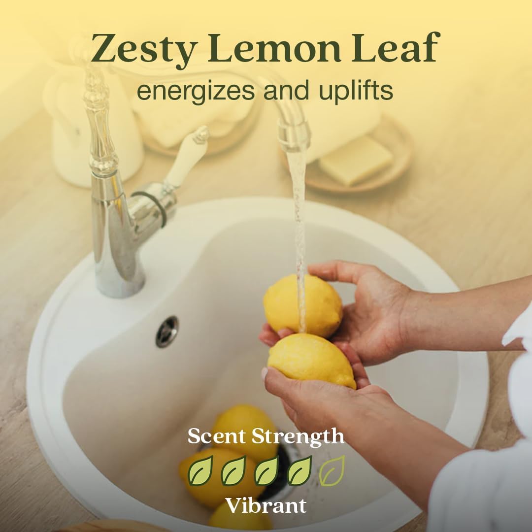 Enviroscent Non-Toxic Air Freshener for Home | Liquid Free Diffuser | Home Fragrance Lasts Over 30