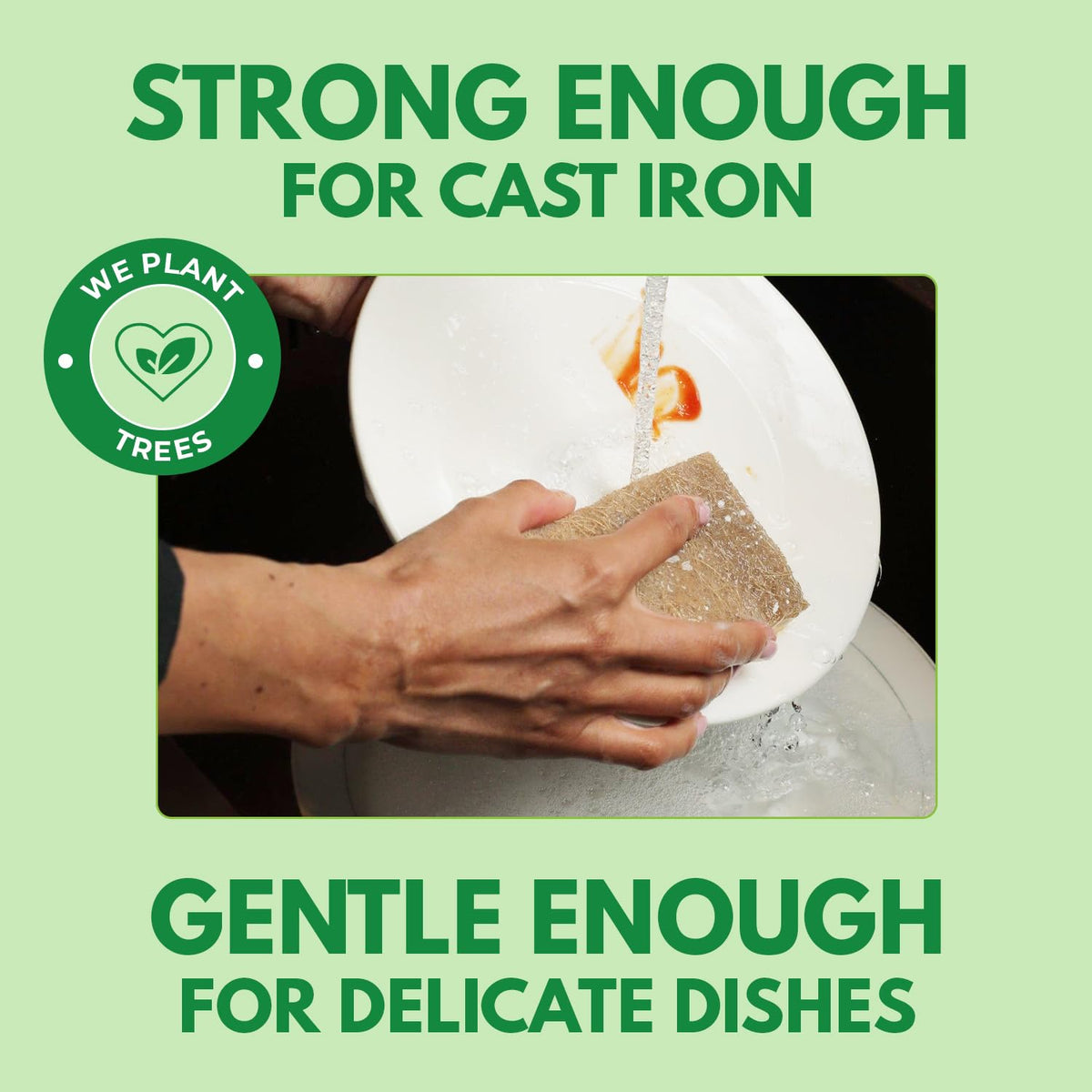 10 Pack Biodegradable Natural Kitchen Sponge - Compostable Cellulose and Coconut Walnut Scrubber