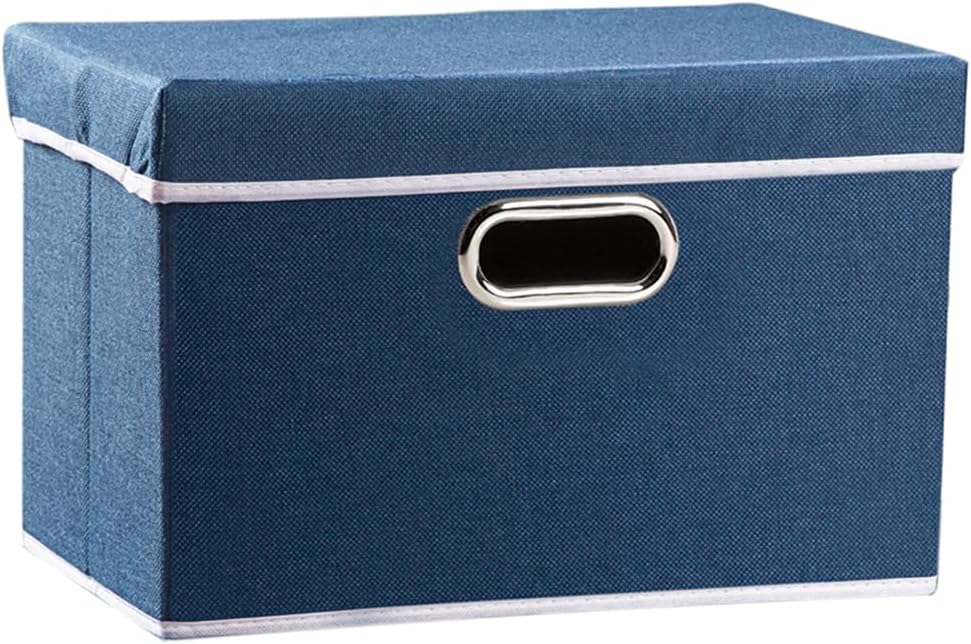 PRANDOM Collapsible Storage Bin with Lid [1-Pack] Fabric Foldable Storage Box Organizer Container