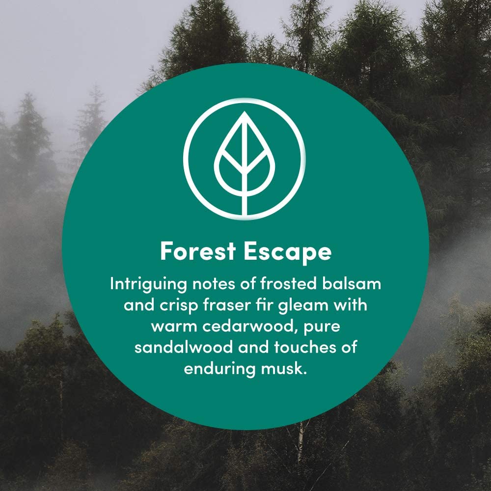 Clean Revolution Foaming Hand Soap Refill Supply Container, Ready to Use Formula, Forest Escape