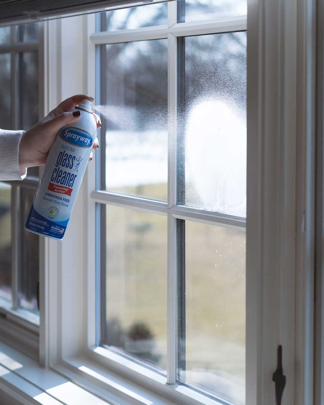 Sprayway Glass Cleaner with Foaming Spray for a Streak-Free Shine for Home and Automotive Use, 19