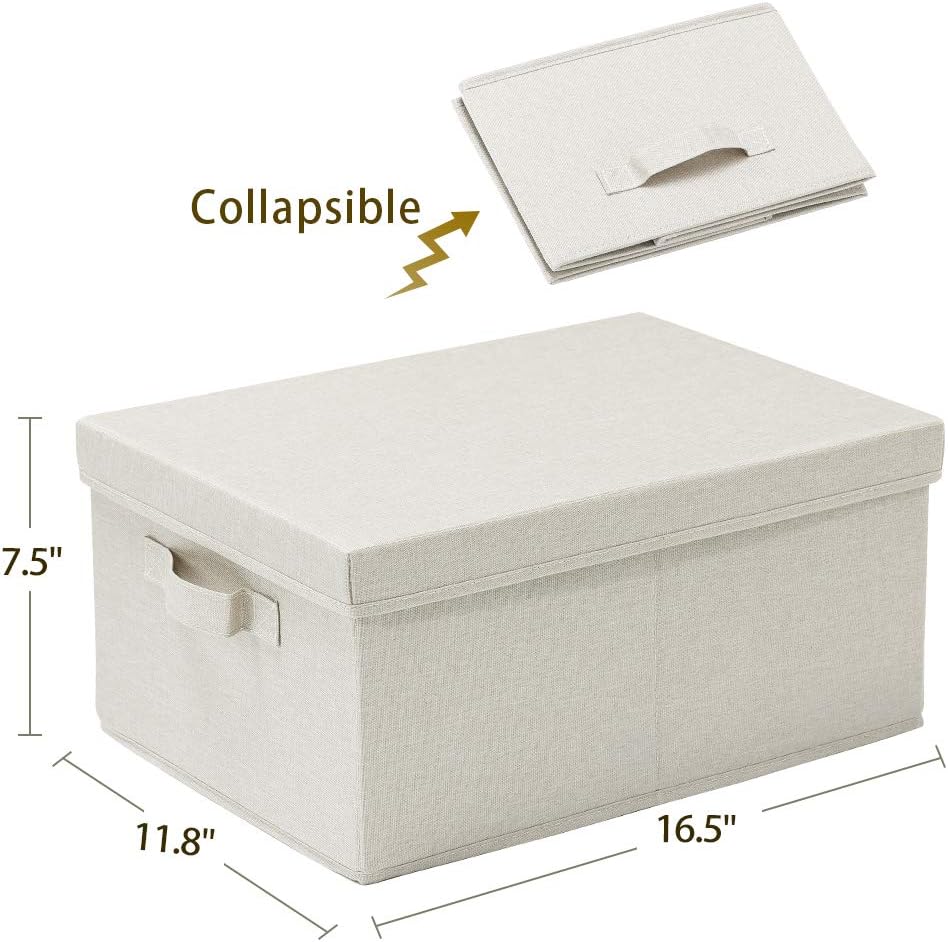 HOONEX Foldable Storage Bins with Lids, 2 Pack, Storage Boxes with Carrying Handles and Sturdy