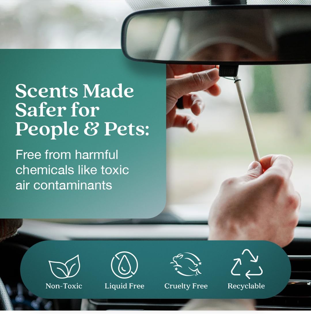 Enviroscent Non-Toxic Car Air Freshener (Seaside Coconut & Verbena) Natural Car Air Freshener |