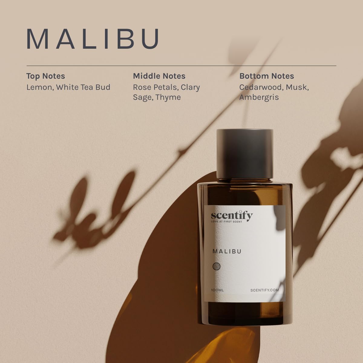 Scentify Malibu Aroma Oil Refill Scent for Oil Diffusers - Lemon, White Tea, Thyme, Cedar, Musk