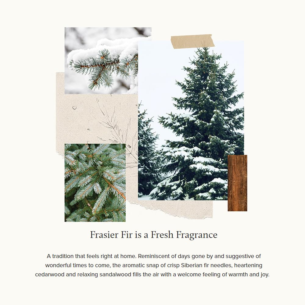 Thymes Frasier Fir All-Purpose Cleaning Wipes – Multi-Purpose Cleaning Wipes – Safe for