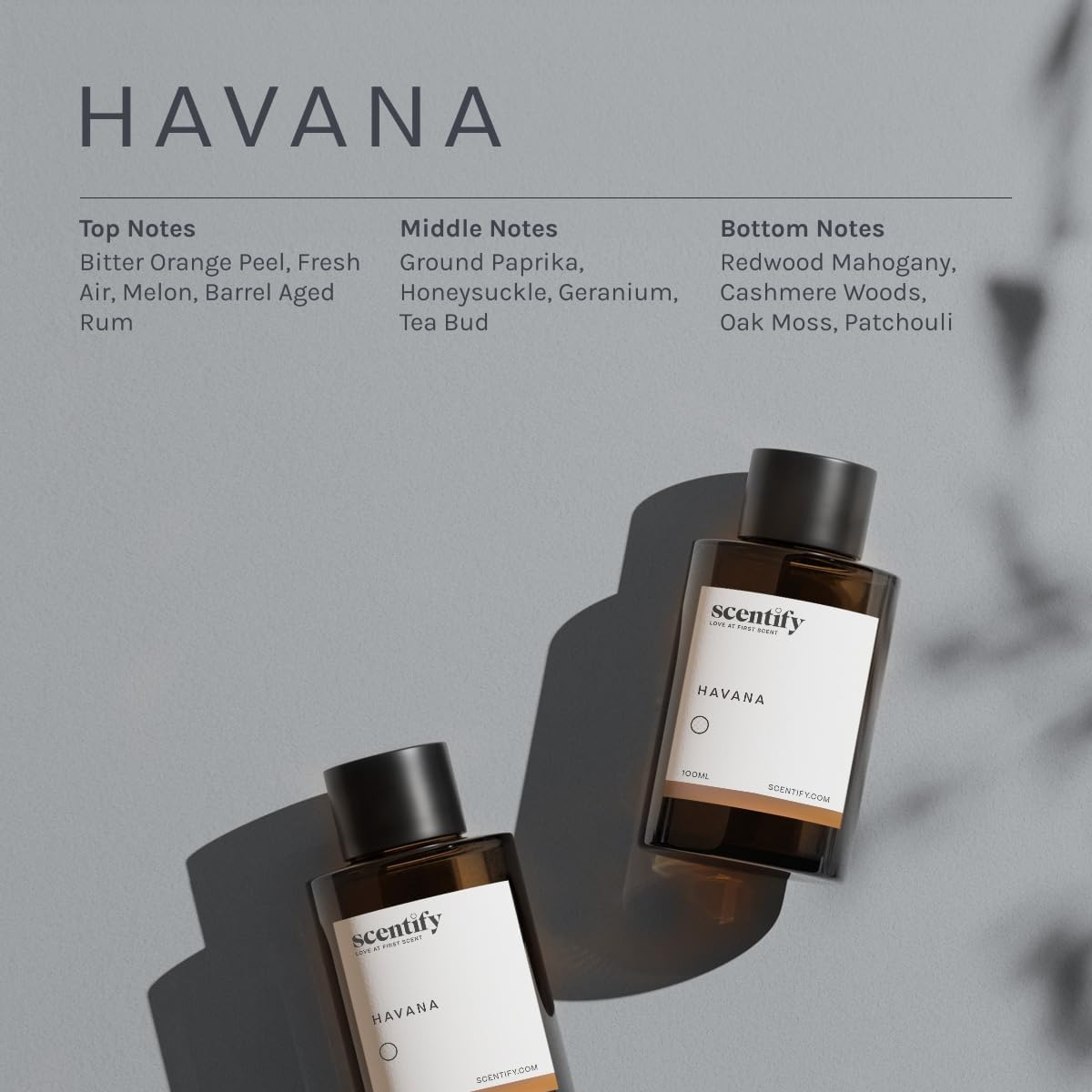 Scentify Havana Aroma Oil Refill Scent for Oil Diffusers - Oak Moss, Rum, Paprika, Mahogany Scents