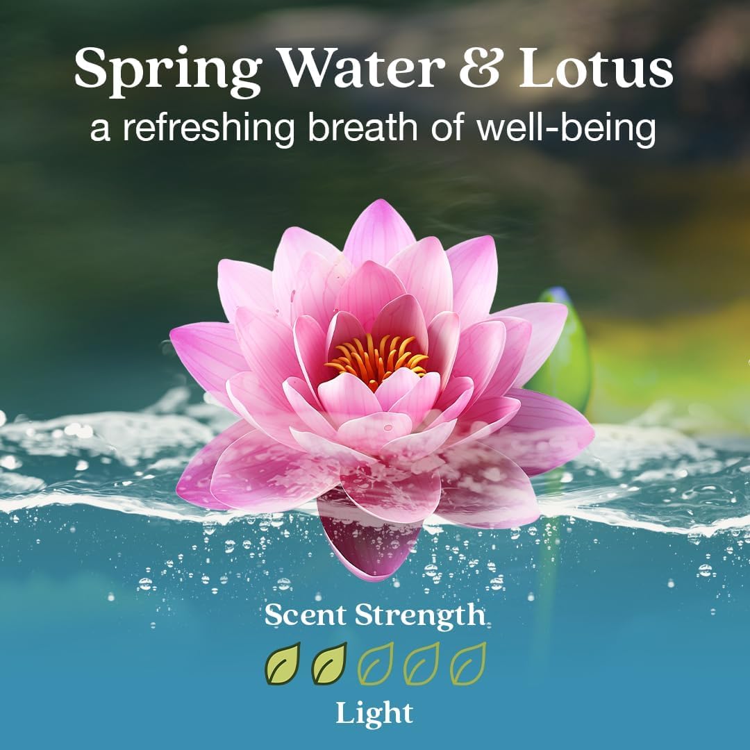 Enviroscent Non-Toxic Air Freshener for Home | Liquid Free Diffuser | Home Fragrance Lasts Over 30