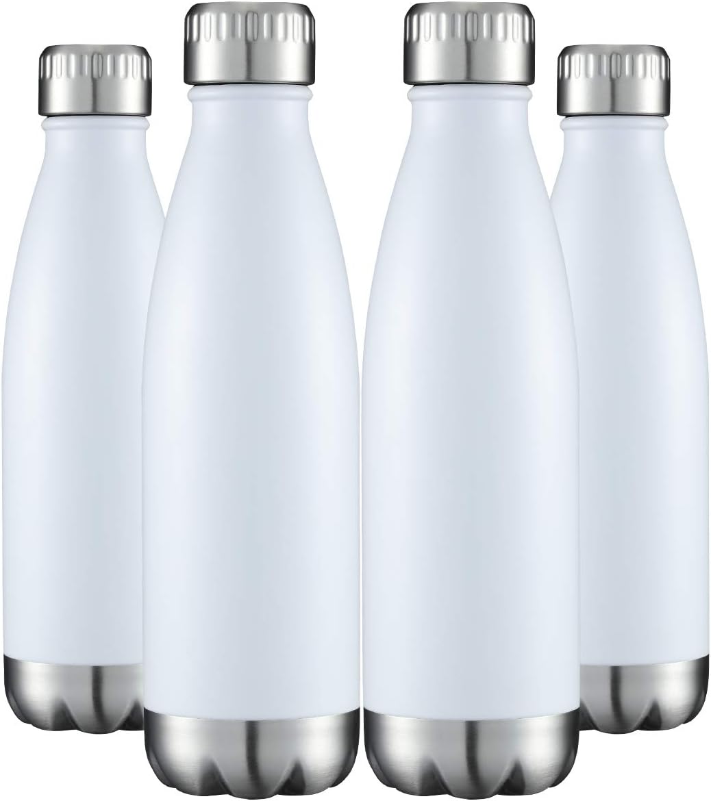 HASLE OUTFITTERS 17oz Stainless Steel Water Bottles Bulk, Vacuum Insulated Water Bottles Double