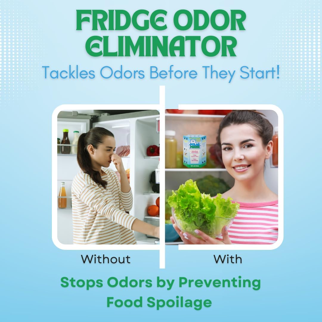 All-in-1 Refrigerator Deodorizer & Produce Saver by Polar Fresh – Fridge Odor Eliminator, Ethylene