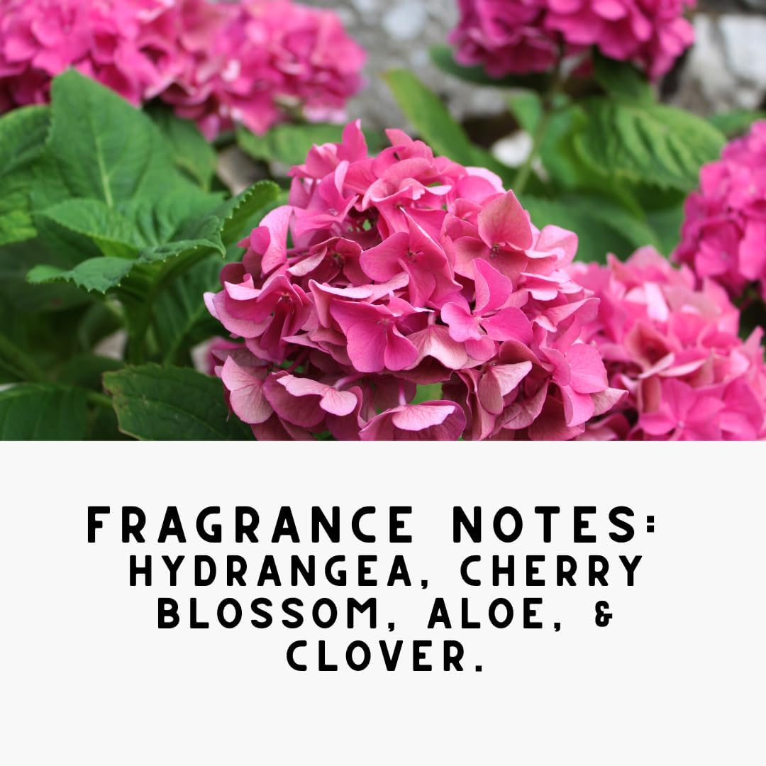 Home 'PINK FIELDS' Natural Laundry Detergent Powder – Hydrangea & Clover Scent – HE & Standard