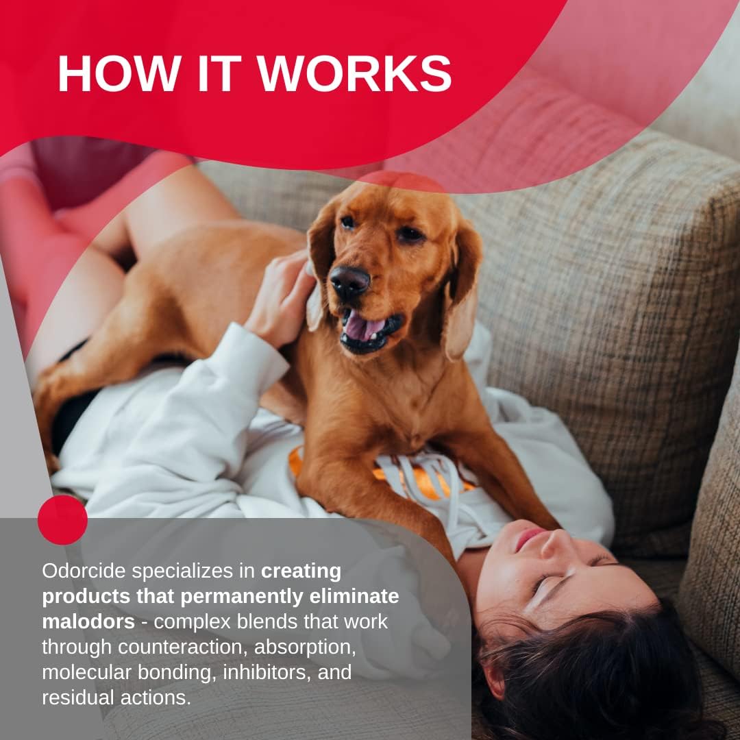 Odorcide Odor Eliminator Concentrate: Odor Eliminator for Strong Odor on Carpets, Hardwood & More