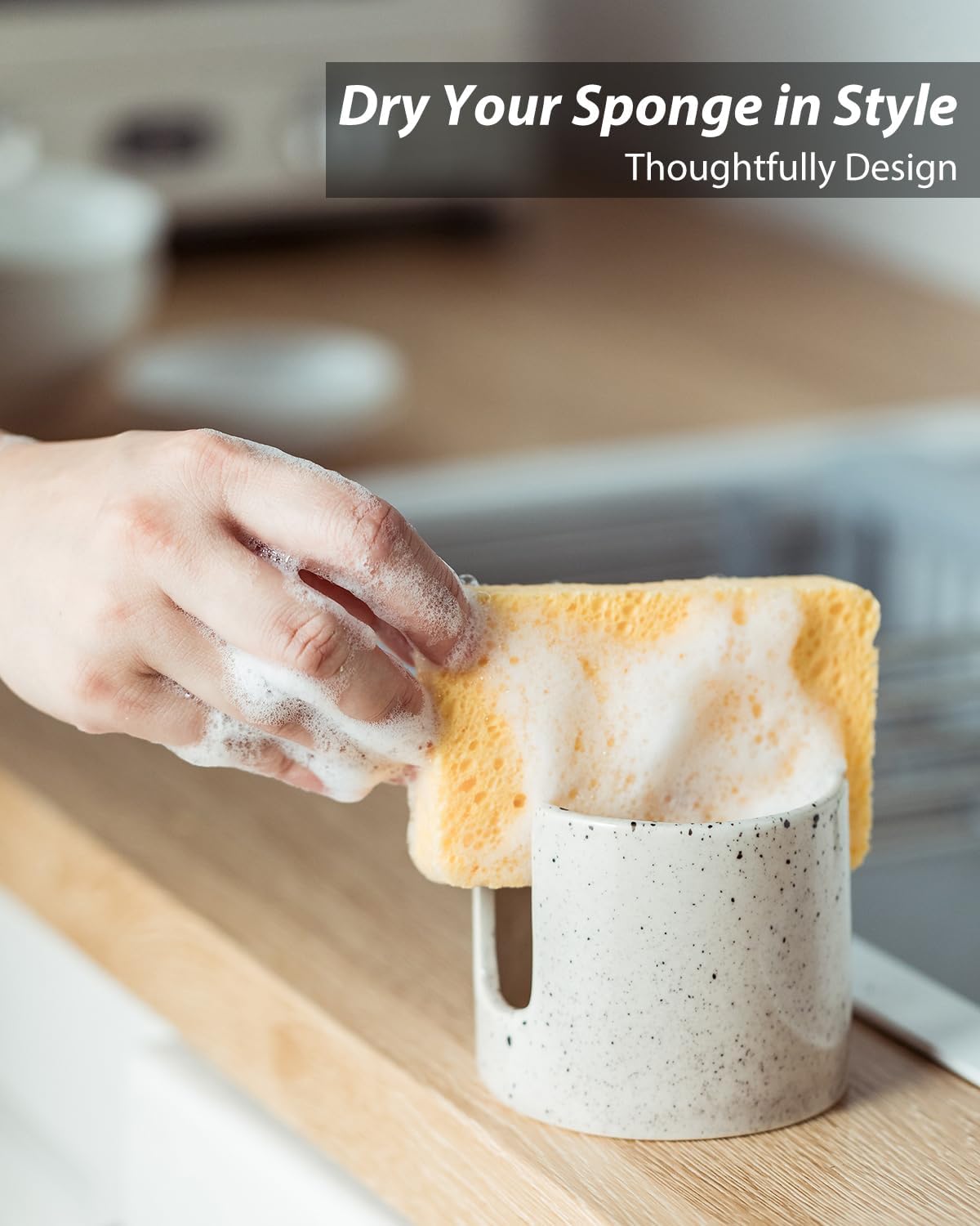 Kitchen Sink Sponge Holder, Dish Sponge Rack Ceramic Brush Holder Farmhouse Kitchen Dish Rack for