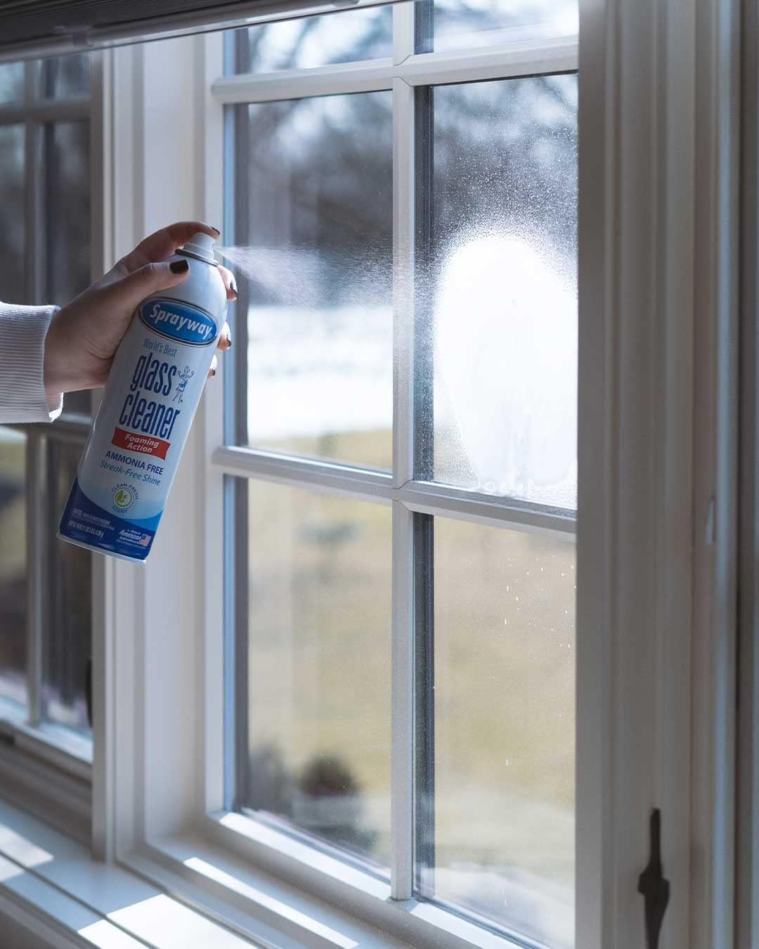 Sprayway Glass Cleaner with Foaming Spray for a Streak-Free Shine for Home and Automotive Use, 19