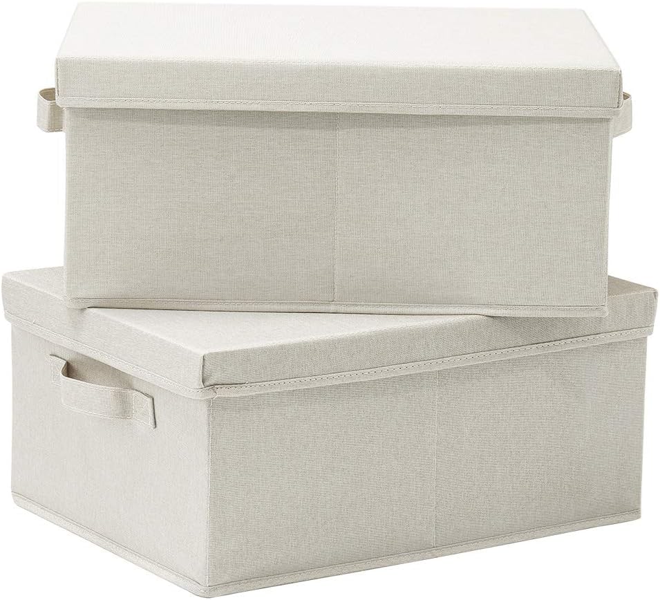 HOONEX Foldable Storage Bins with Lids, 2 Pack, Storage Boxes with Carrying Handles and Sturdy