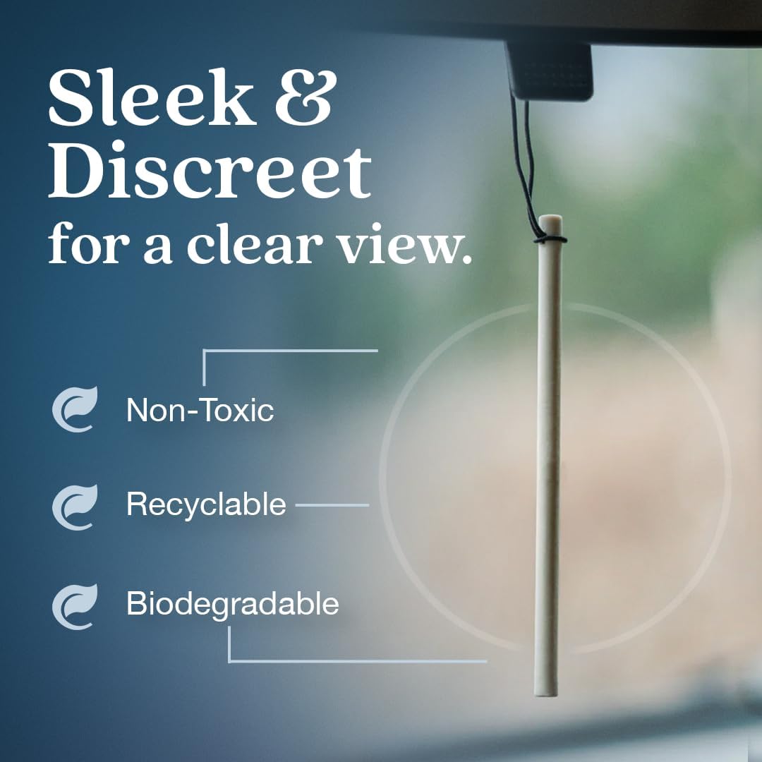 Enviroscent Non-Toxic Car Air Freshener (Coastal Storm & Teakwood) Natural Car Air Freshener |