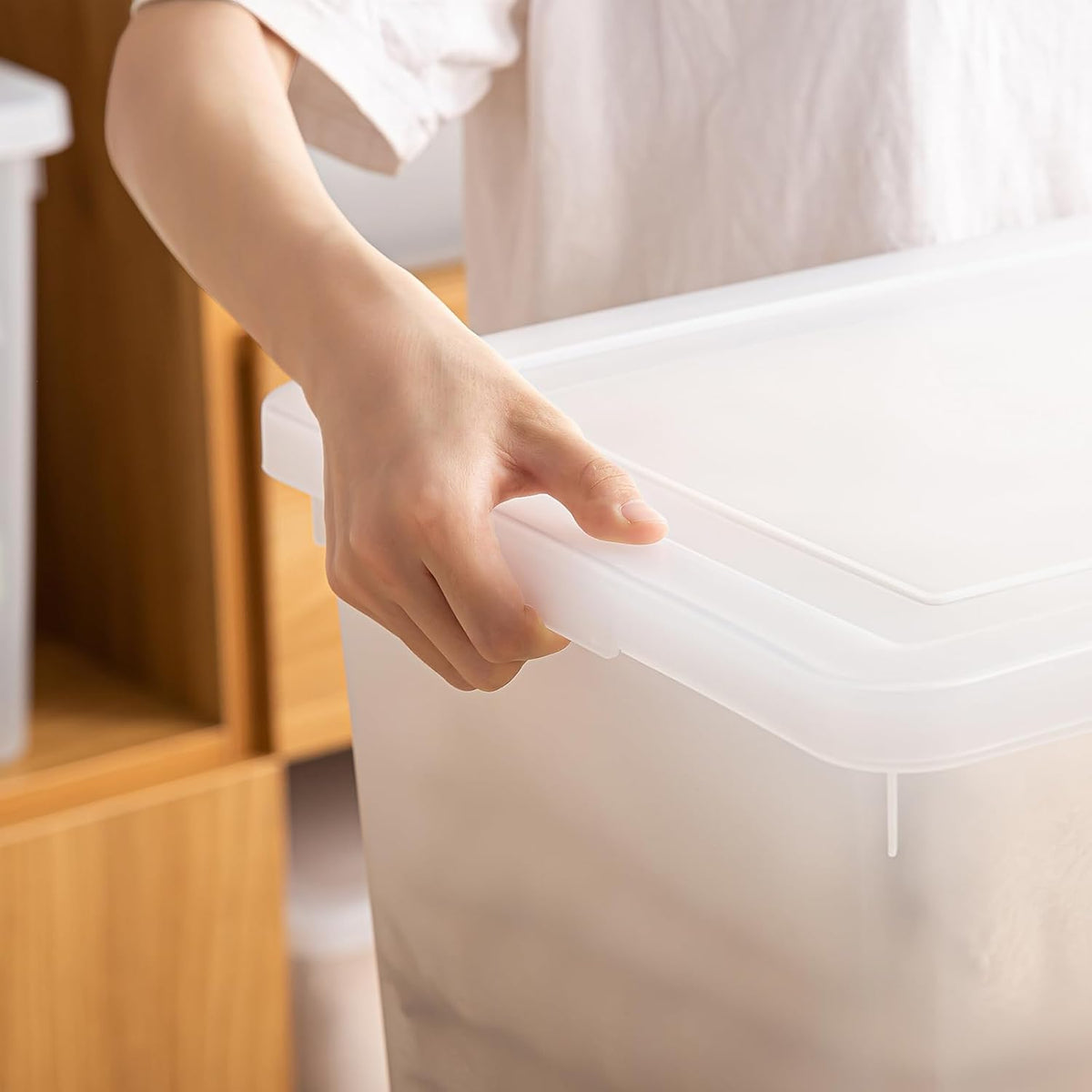 Stackable Plastic Storage Bins with Lids,Container to Organize Shoes and Crafts on Closet