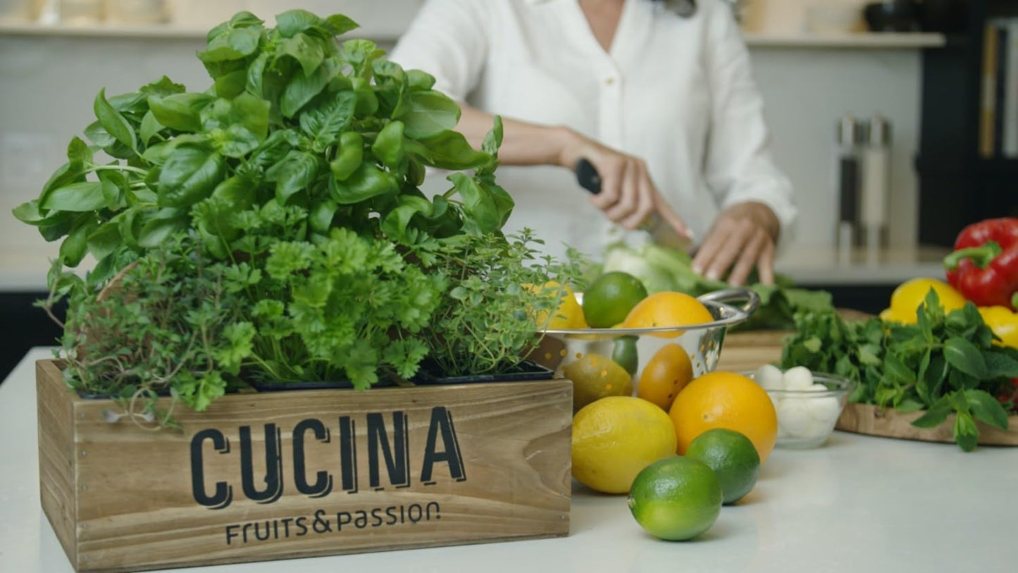 Cucina Fruits & Passion Hand Soap Refill – 1 Liter (33.8 oz) Coriander and Olive Tree – Purifying