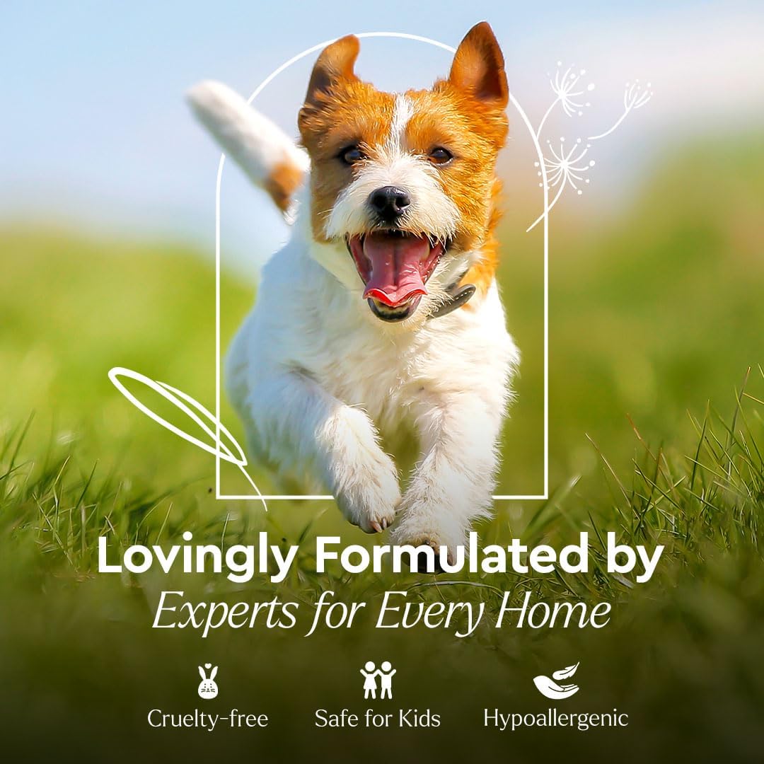 Puracy Pet Stain and Odor Remover - Enzyme Cleaner for Dog Urine and Poop Carpet - Cat Pee Enzyme