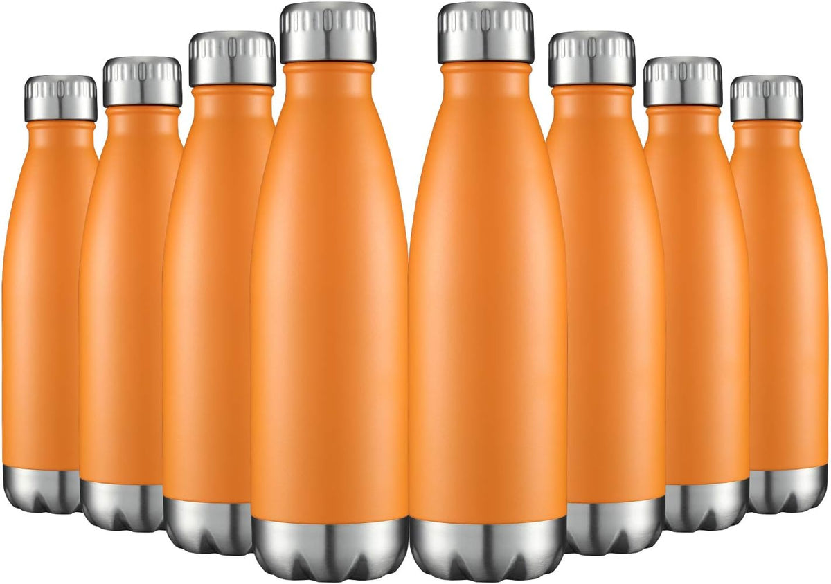 HASLE OUTFITTERS 17oz Stainless Steel Water Bottles Bulk, Vacuum Insulated Water Bottles Double