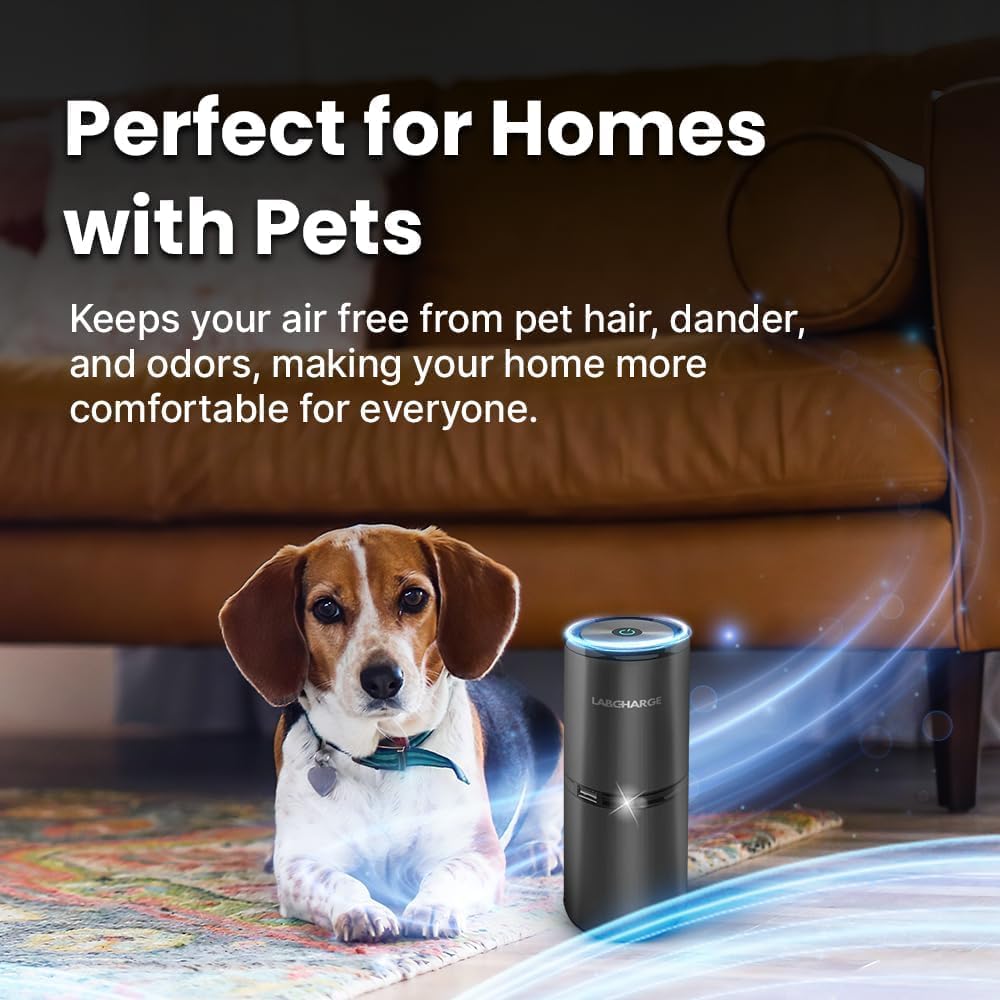 LabCharge Small Ionic Air Purifier for Home & Bedroom – Silent HEPA Filter – Covers 250 Sq Ft