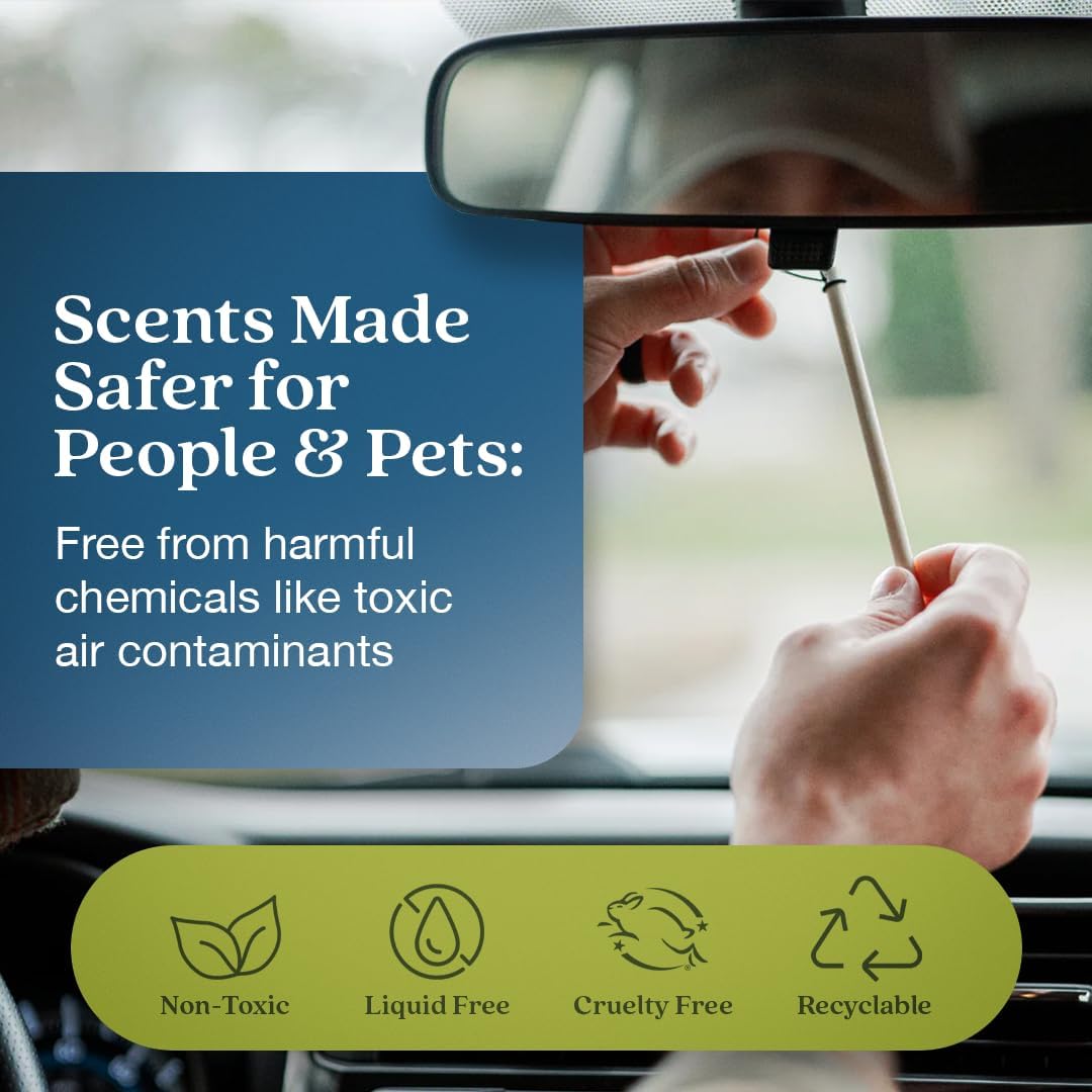 Enviroscent Non-Toxic Car Air Freshener (Coastal Storm & Teakwood) Natural Car Air Freshener |