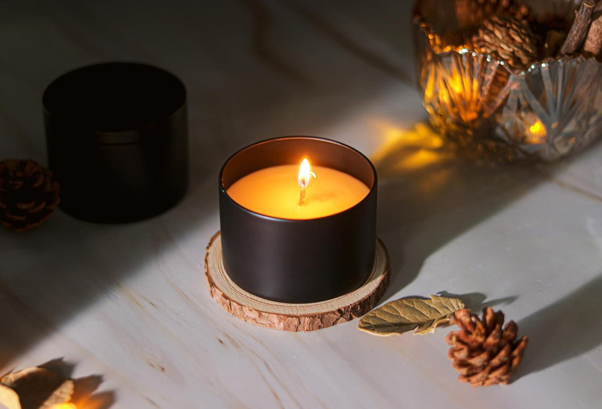 Aroparc Candle Tins 8oz with Lids, 24 Pack Seamless Candle Containers for Candle Making Supplies