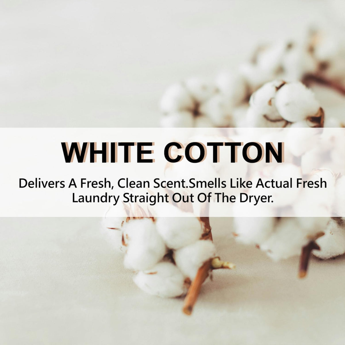 ROSE COTTAGE Large 12 Packs White Cotton Hanging Closet Deodorizer Air Freshener Long Lasting