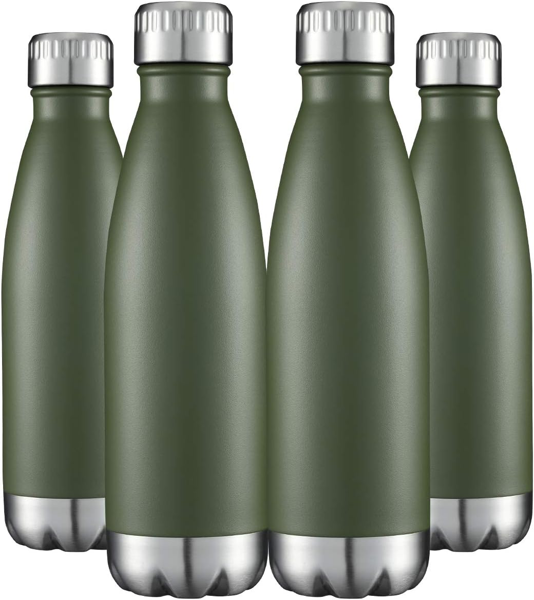 HASLE OUTFITTERS 17oz Stainless Steel Water Bottles Bulk, Vacuum Insulated Water Bottles Double