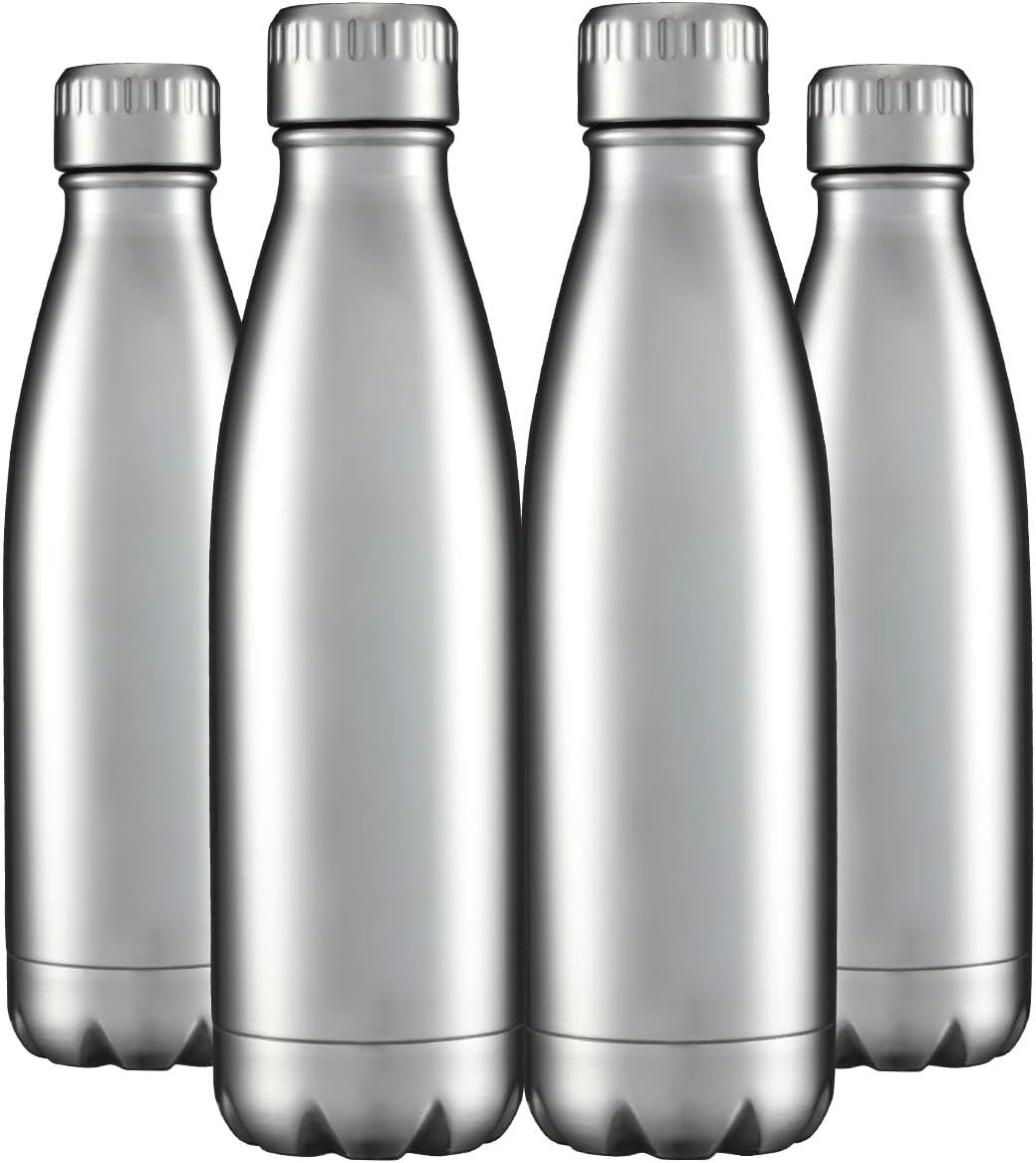 HASLE OUTFITTERS 17oz Stainless Steel Water Bottles Bulk, Vacuum Insulated Water Bottles Double
