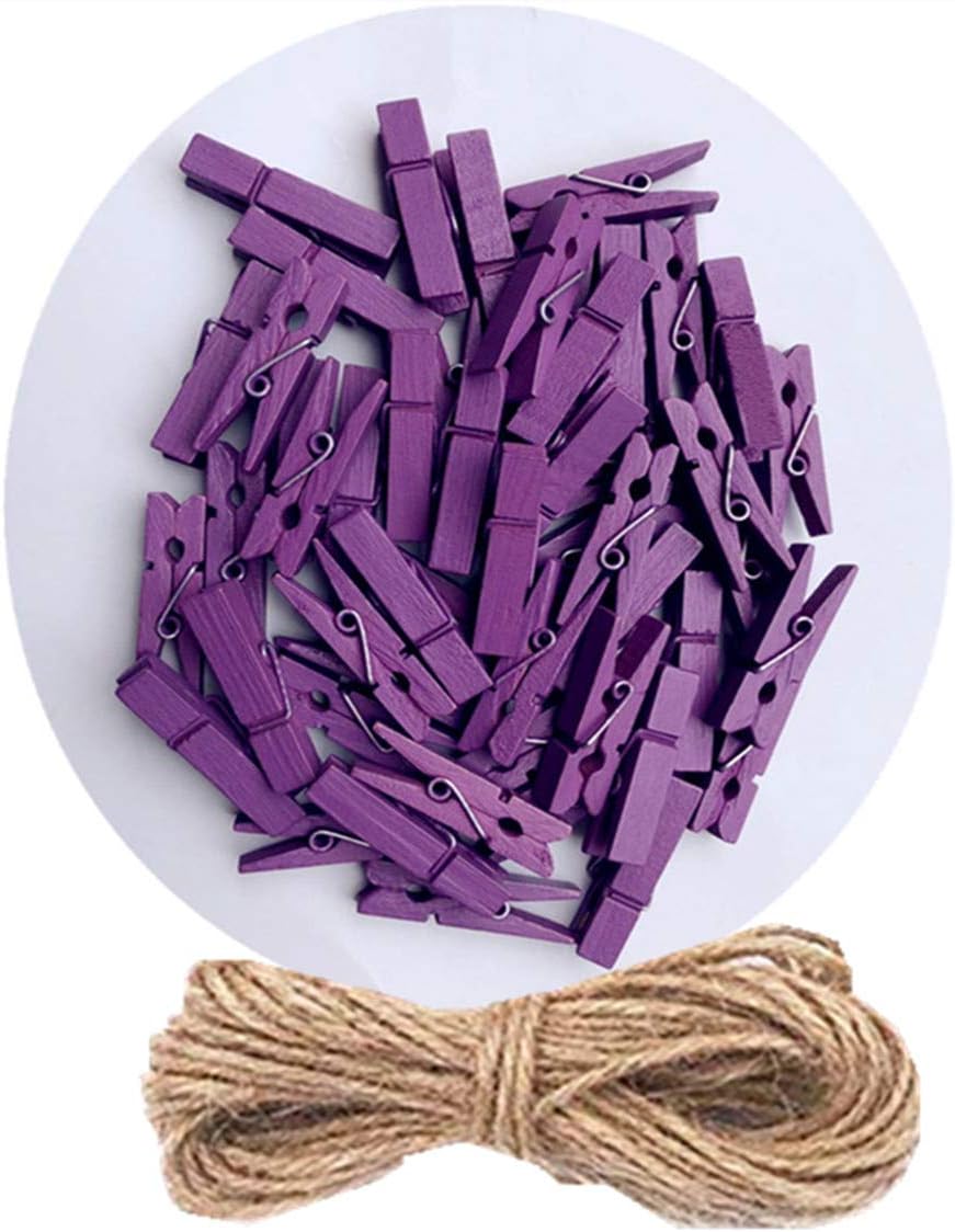 DurReus 50 Piece Small Wood Clips Mini Clothespins with Spring Jute Twine Durable Wall Peg Pin for
