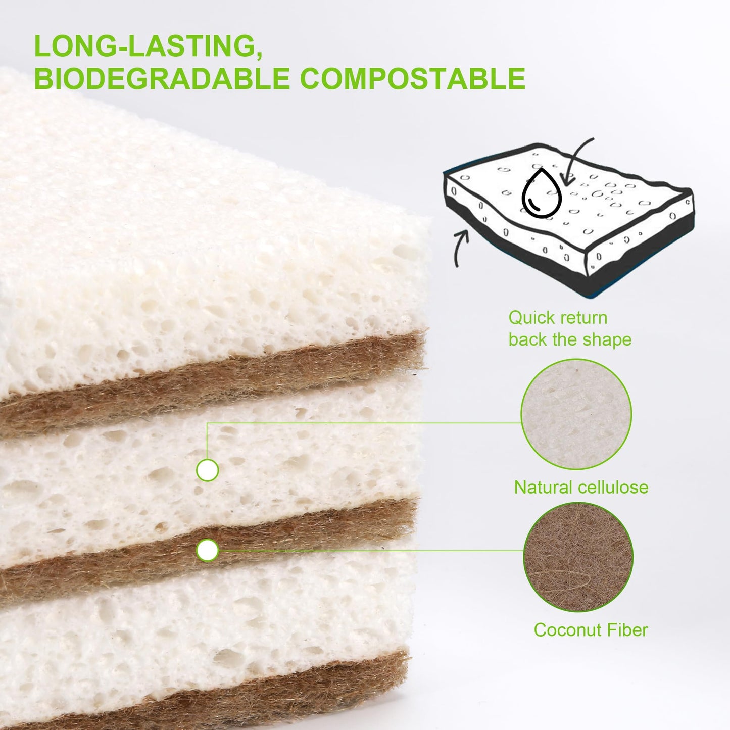 Natural Sponges for Dishes 12 Pack - Keep Soap Biodegradable Kitchen Sponge Compostable Coconut