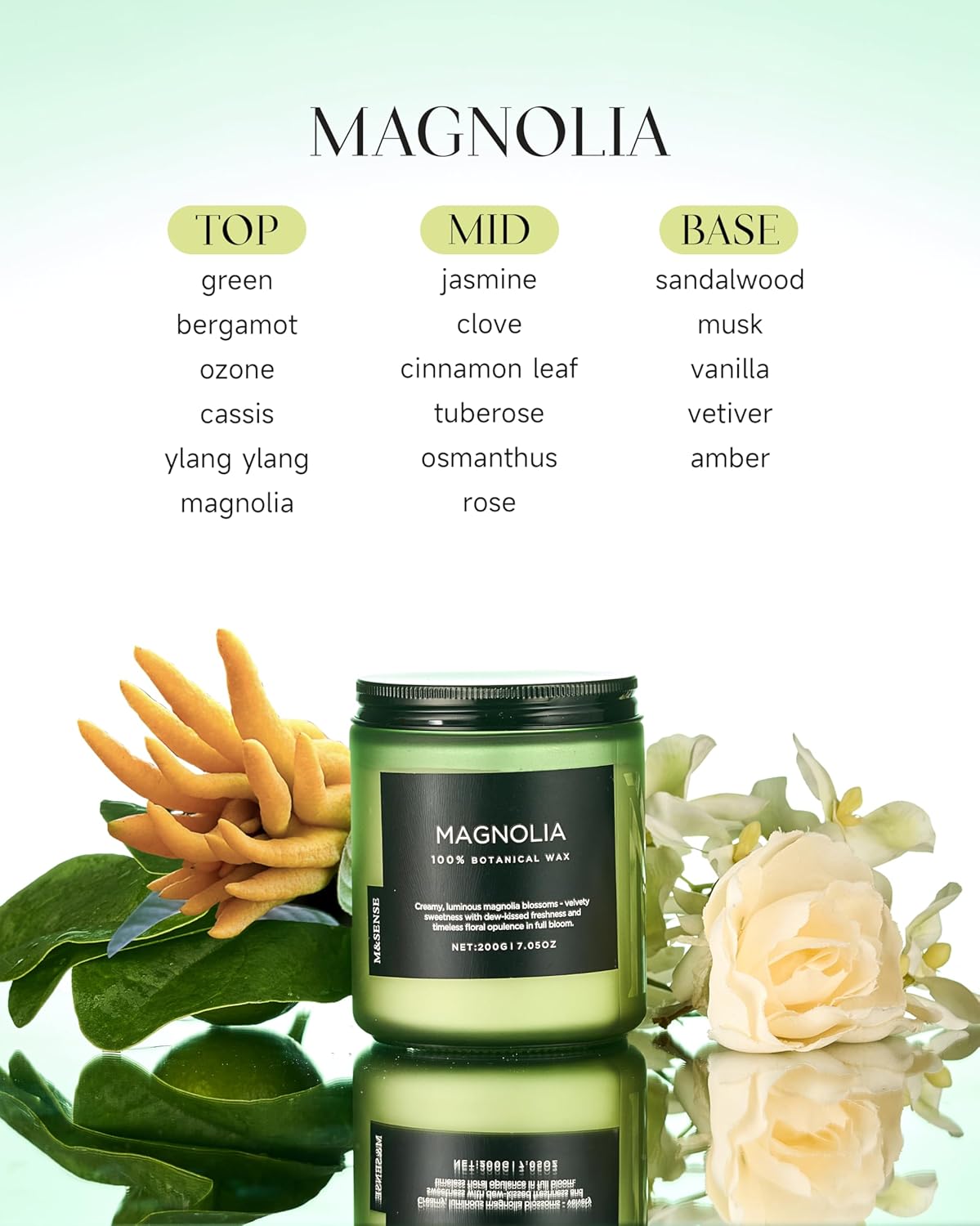 M&SENSE Magnolia Jasmine Scented Candle, 7.05oz 50 Hours Long Lasting Clean Non Toxic All Natural