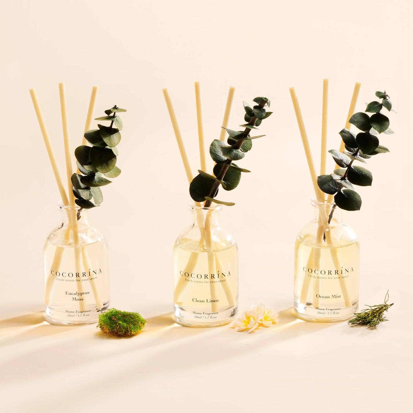 COCORRÍNA Eucalyptus Reed Diffuser Set of 3 - Eucalyptus & Moss, Clean Linen, Ocean Mist Scents