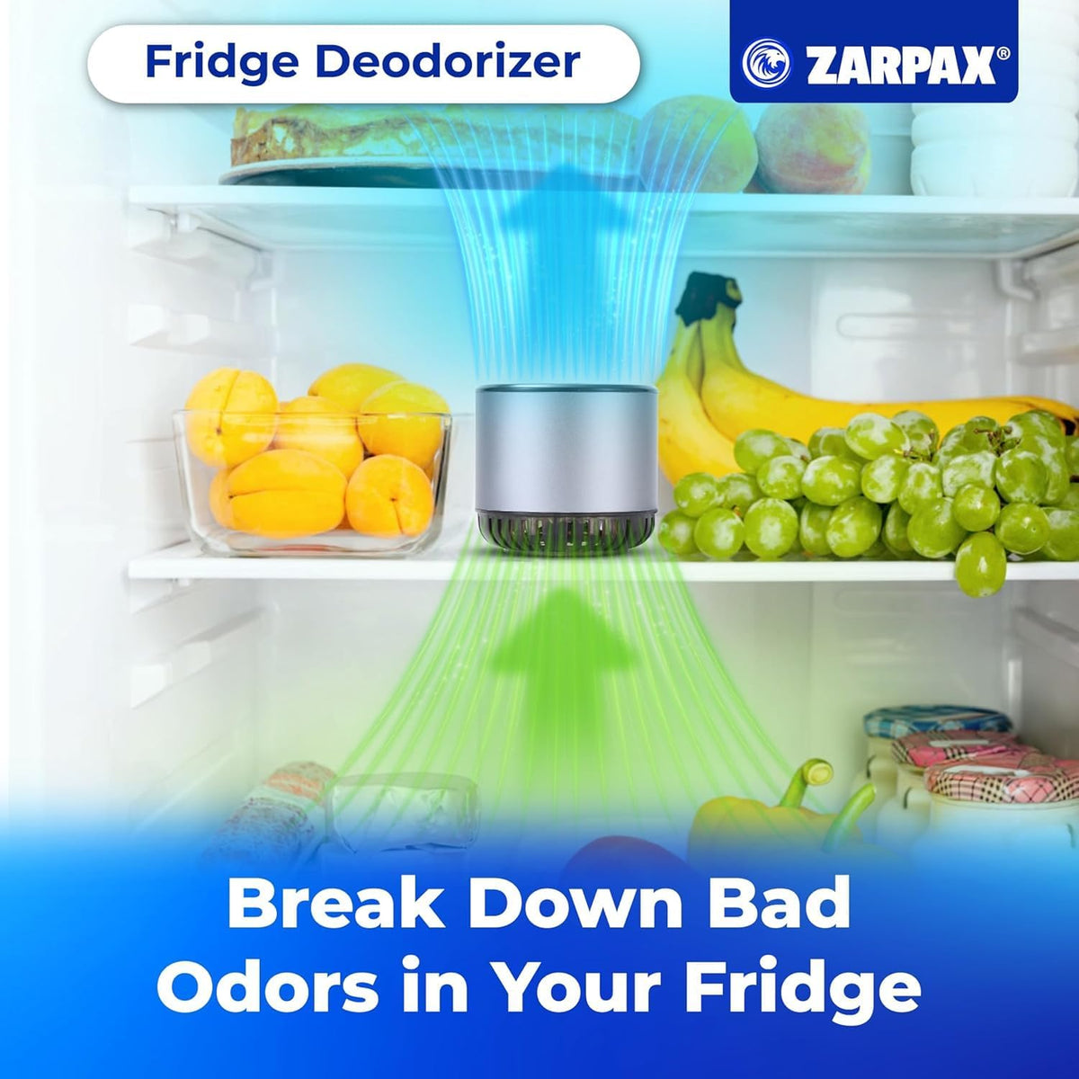 Refrigerator Deodorizer - Double Pack - Fridge Smell Eliminator Lasts for 10 Years -18ft3 Capacity