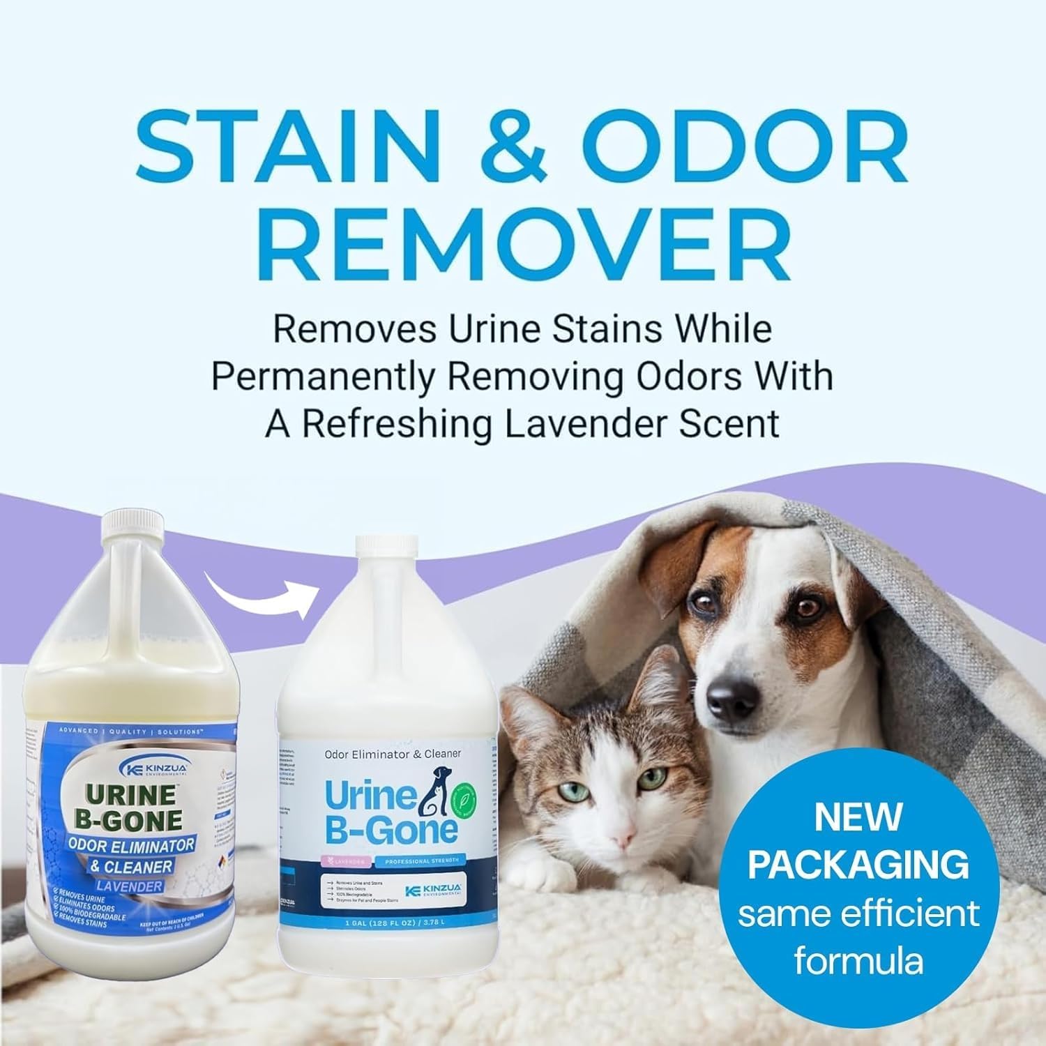 KINZUA ENVIRONMENTAL Urine B-Gone, Professional Enzyme Odor Eliminator & Pet Stain Remover, Human