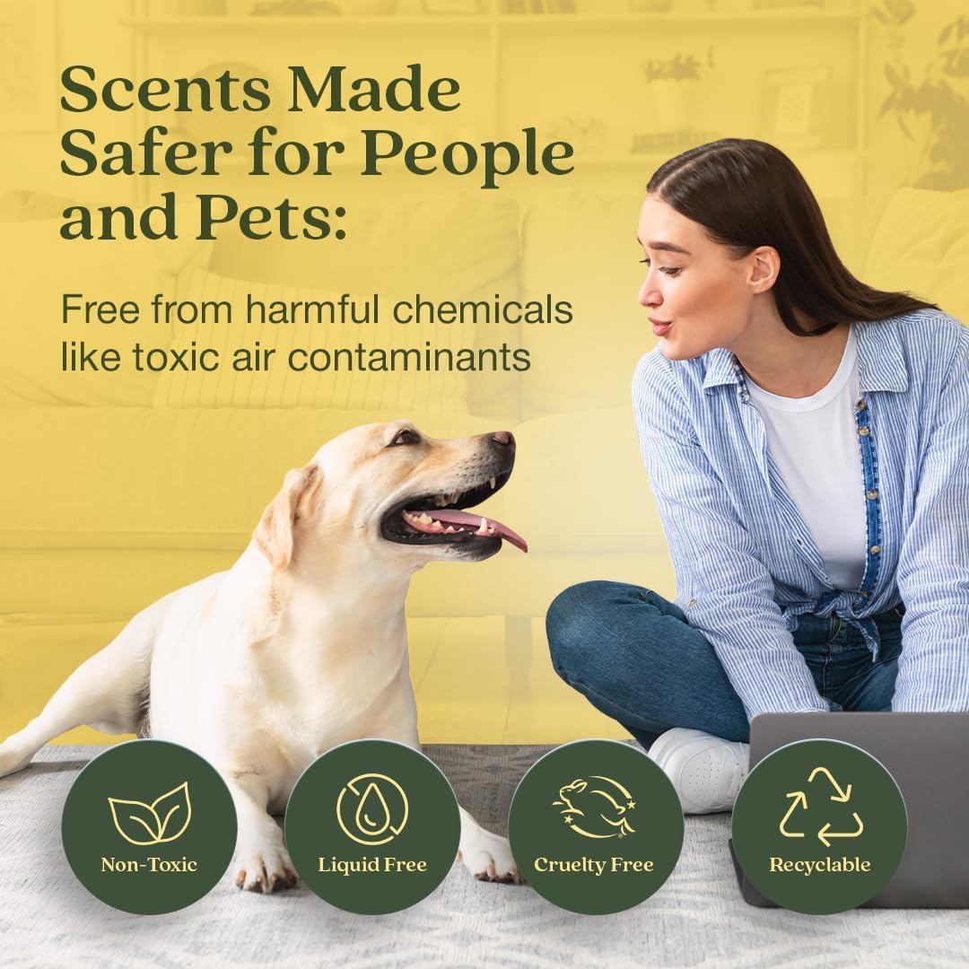 Enviroscent Non-Toxic Air Freshener for Home | Liquid Free Diffuser | Home Fragrance Lasts Over 30