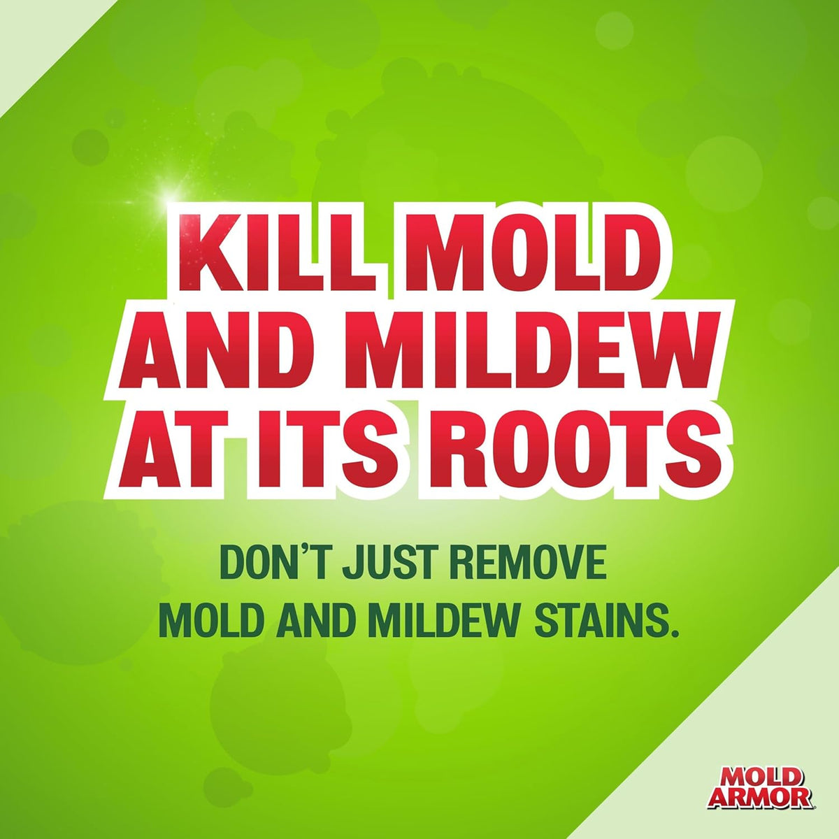 Mold Armor Professional Brand Mold Kill & Control Spray, 32 oz., Hard Surface Mold and Mildew
