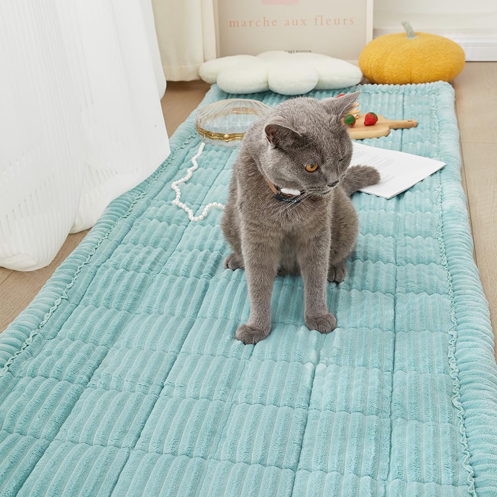 Couch Cover for Dogs Washable, Fuzzy Pet Couch Covers for 3 Cushion Sofa Pet Friendly, Non Slip
