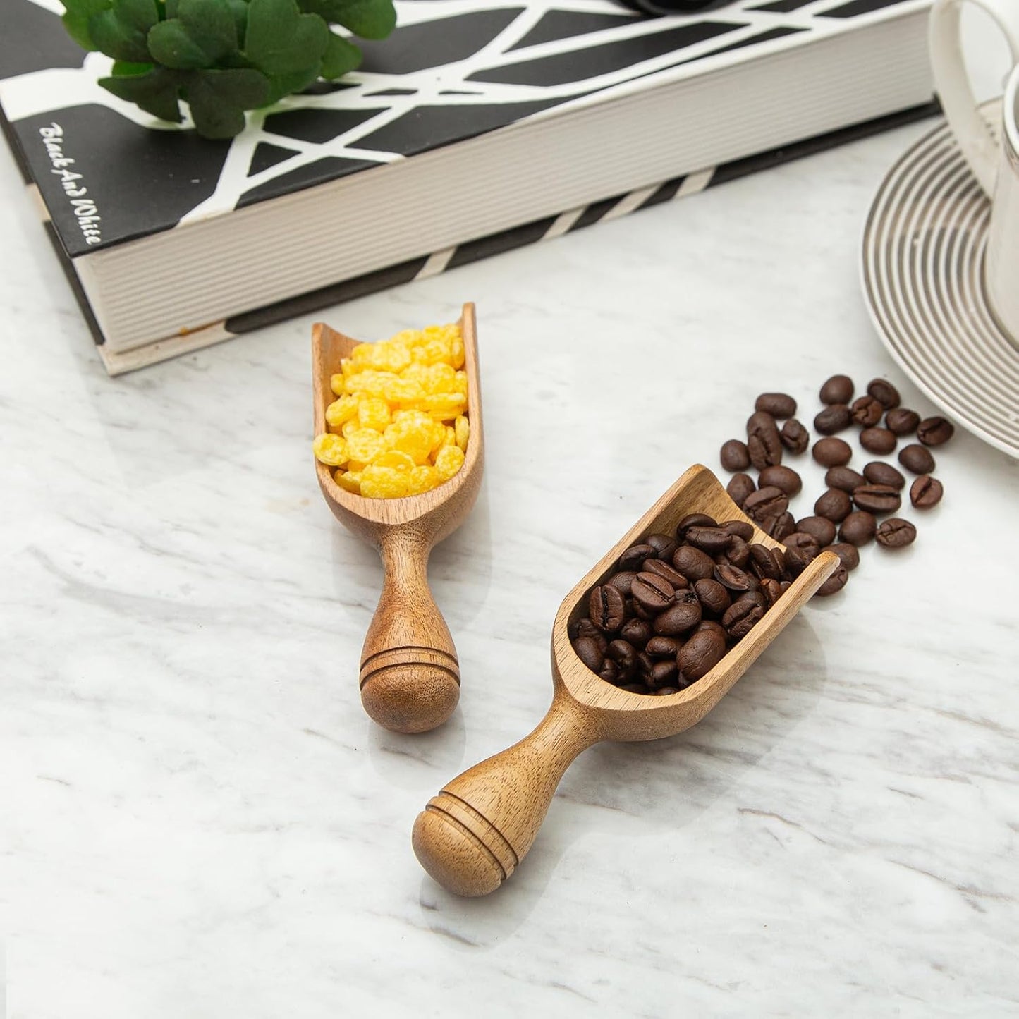 Wooden Scoops for Canisters 4PCS Wooden Scoop for Jars Acacia Mini Measuring Spoons for Ground