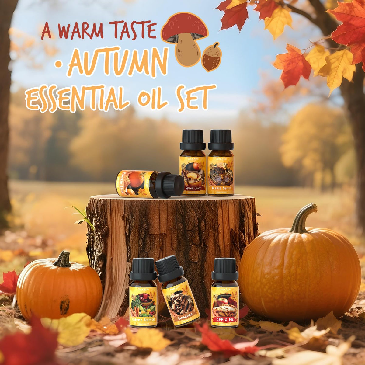 Autumn Fragrance Oils Set, Essential Oil for Diffuser, Fall Scent Diffuser Oil, Use for Soap Candle