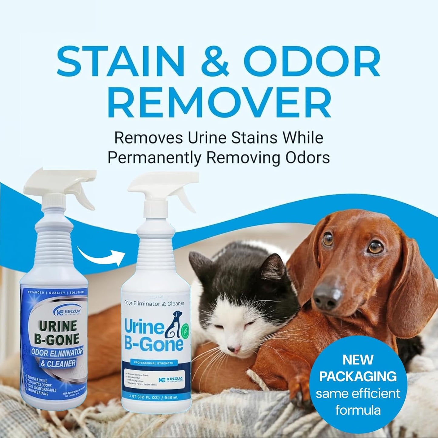 KINZUA ENVIRONMENTAL Urine B-Gone, Professional Enzyme Odor Eliminator & Pet Stain Remover, Human