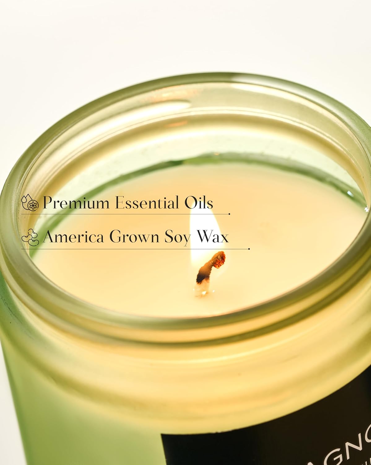 M&SENSE Magnolia Jasmine Scented Candle, 7.05oz 50 Hours Long Lasting Clean Non Toxic All Natural